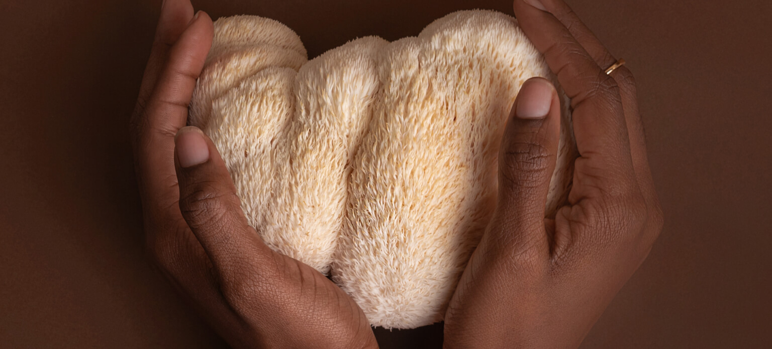 hands holding mushroom