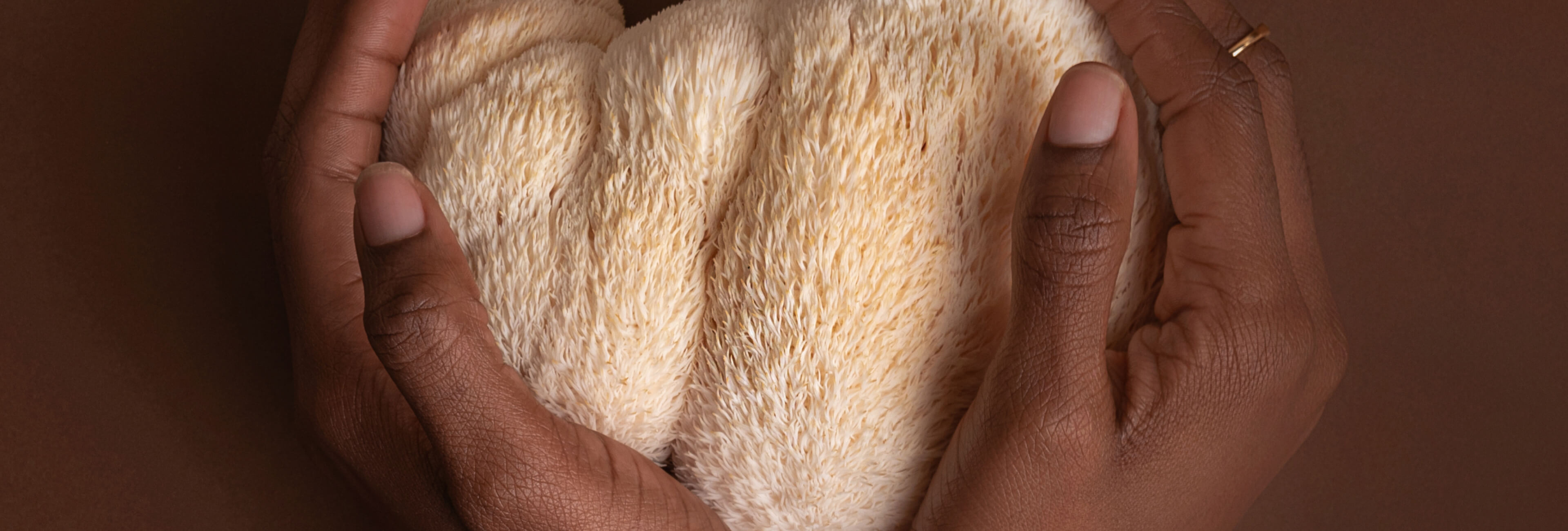hands holding mushroom