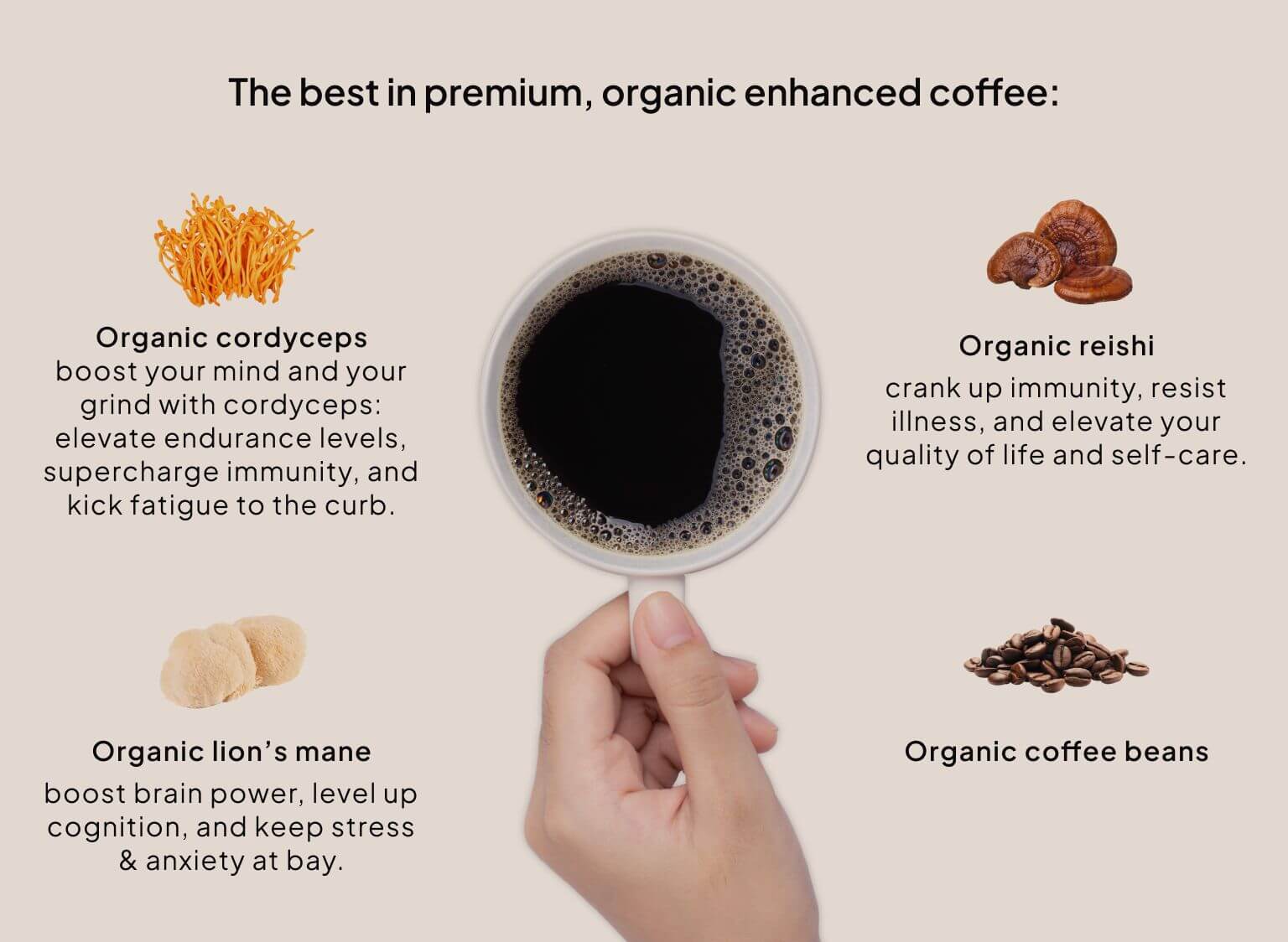product ingredients