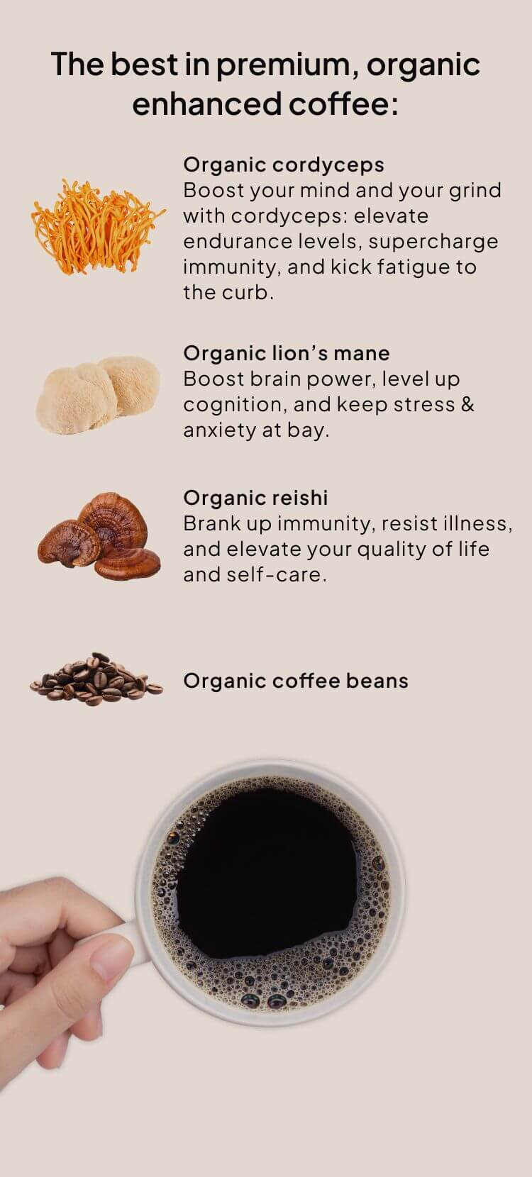 product ingredients